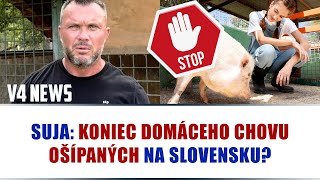 SUJA KONIEC DOMÁCEHO CHOVU OŠÍPANÝCH NA SLOVENSKU [upl. by Curtice]