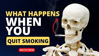 What Happens When You Stop Smoking  Benefits of Quitting Smoking  MedBoard [upl. by Llekcor491]