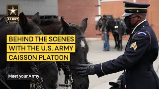 Army Behind the Scenes US Army Caisson Platoon  US Army [upl. by Akemot]