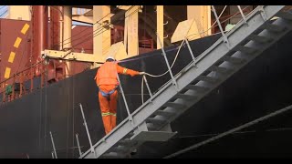 1310 Safe Gangway and Ladder Operations Edition 2  Trailer [upl. by Anihc]