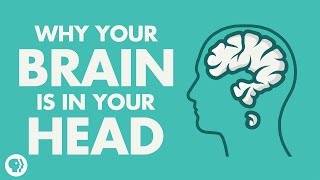 Why Your Brain Is In Your Head [upl. by Kcirrag143]