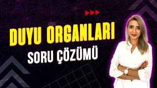 DUYU ORGANLARI 💯 SORU ÇÖZÜMÜ l Seda Hoca Biyoloji ayt2023 [upl. by Cade]