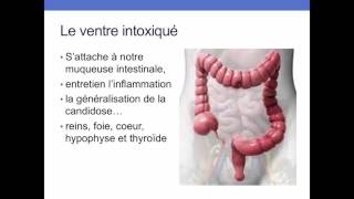 Mercure  désintoxiquez vous naturellement [upl. by Eitsirk]