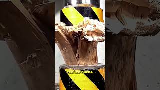 ¿¡Cuál De Estos Troncos De Madera Sobrevivirá 🤯 [upl. by Oalsecnew282]