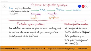 10Préparation à lexamen national  Lexpression de linformation génétique 2BAC PCSVT1BAC SM [upl. by Rayna595]