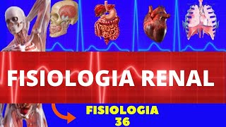 INTRODUÇÃO À FISIOLOGIA RENAL FISIOLOGIA HUMANA  SISTEMA EXCRETOR URINÁRIO  FISIOLOGIA GUYTON [upl. by Marchall903]