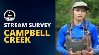 Campbell Creek Stream Survey in Beautiful Anchorage [upl. by Acirea]