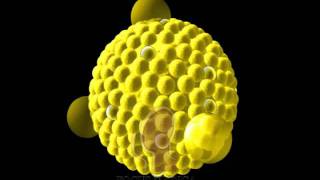 Lipoproteins [upl. by Leimaj]