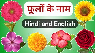 Learn Flowers Name Hindi amp English  फूलों के नाम  Flowers Names  Name of Flowers [upl. by Enelkcaj468]