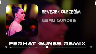 Ebru Gündeş  Bin Kere Gelsem Dünyaya  Ferhat Güneş Remix [upl. by Lednew]