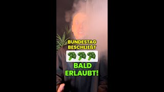 Kiffen erlaubt 🥦 Der Bundestag verabschiedet Legalisierung [upl. by Gwenora]