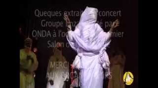 Concert du groupe imzad avec ONDA [upl. by Leslee]