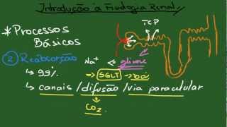 Introdução à Fisiologia Renal  Resumo  Fisiologia [upl. by Euhc]