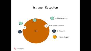 One Bite At a Time Phytoestrogens in Food and Dietary Supplements  CedarsSinai [upl. by Sigismund151]