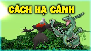 Cách hạ cánh khi bay trong Pixelmon 1165 [upl. by Rice922]