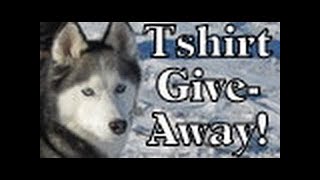 What is a Canadian KickSled Siberian Husky how to pull a Sled [upl. by Thaine]