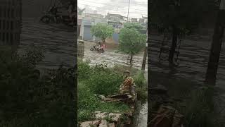 Rain in Loni Uttar Pradesh Delhi flood flowers loniviralvideo funny trendingYoutubeWaleBaba86 [upl. by Huttan688]