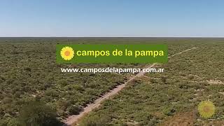 15000 Ha Limay Mahuida  La Pampa [upl. by Lechner]