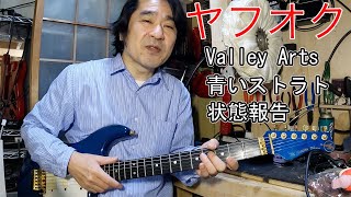 【ヤフオクで落札】青いValley Artsの現状報告 [upl. by Plerre]