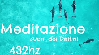 Suoni dei Delfini  Meditazione Guidata 432hz [upl. by Osyth416]