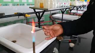 Flame test BariumStrontium Calcium  Dr Aalok Kr Sharma [upl. by Aicirt]