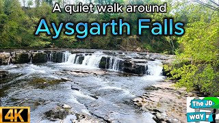 A quiet walk round Aysgarth Falls  Yorkshire Dales  4K  The JD Way [upl. by Enihsnus]