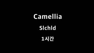 Camellia Slchld 1시간 1hour [upl. by Meit]