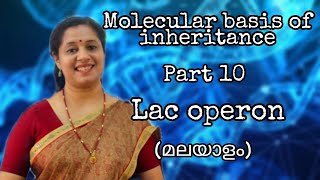 NEET BIOLOGY Molecular Basis of Inheritance Part 10 Lac Operon and Trp Operon [upl. by Jona410]