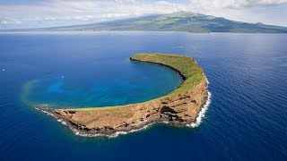 Molokini Crater Maui Hawaii Snorkel [upl. by Teagan]