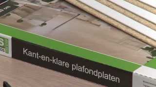 Plafondplaten Agnes OneStep [upl. by Auqkinahs]