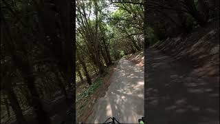 Yew Tree Tunnel at over 30mph on my Himiway Zebra Ebike [upl. by Lightman]