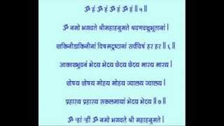 HANUMAN VADVANAL STOTRA Fastest hanuman vadvanal Smitjoshiofficial sanatandharma [upl. by Nola]