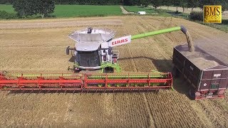 Mähdrescher CLAAS LEXION 780 TERRA TRAC Weizenernte Fendt  biggest combine harvester harvest barley [upl. by Emeline]