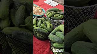 Autumn Produce at the Wausau Farmers Market DANDLINC Adventures [upl. by Lleznod]