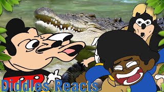 Diddles Reacts  Mokeys Show  427  Crocodile [upl. by Sitsuj429]