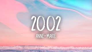 AnneMarie  2002 Lyrics [upl. by Neom]