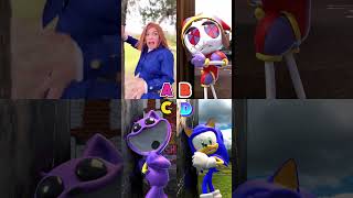 Who is the best 195 funnyshorts sonic pomni catnap skibidi [upl. by Ahsekram]