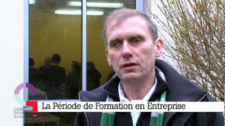 La période de formation en entreprise [upl. by Nivar476]