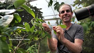 Episode 2 A la rencontre dun éleveur de papillons en Equateur  soustitre EN [upl. by Israeli]