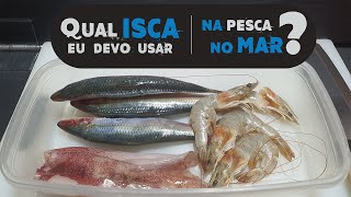 Melhores iscas para pesca no mar [upl. by Alage]