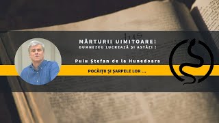 Puiu Ștefan de la Hunedoara  Pocăiții și șarpele lor … Mărturii uimitoare cum lucrează Dumnezeu [upl. by Gaves]