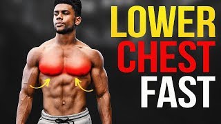 The 4 BEST Lower Chest Exercises NO WEIGHTS NEEDED [upl. by Ahsayn]