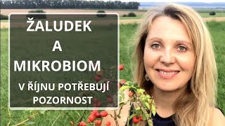 Žaludek a střevní mikrobiom  v říjnu potřebují pozornost [upl. by Oetomit]