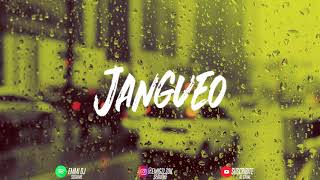 JANGUEO REMIX ✘ ALEX ROSE ✘ RAFA PABON ✘ EMMI DJ [upl. by Eimareg]