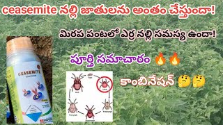 ceasemite insecticide uses in Telugu  ceasemite insecticide  erra nalli nivarana in mirchi  nalli [upl. by Angadresma345]