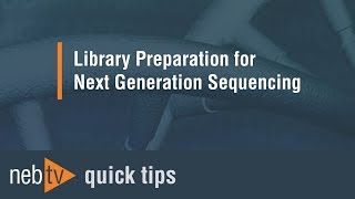 Quick Tips  Adding the lysis buffer for the PCR in the NEBNext RNA workflow [upl. by Munson]