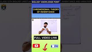 Chromosomal Theory of Inheritance Class 12  viral shorts [upl. by Anak]