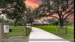 501 Cloverleaf Dr Lithia FL 33547 [upl. by Einnaf370]