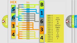 DTC Dodge B1634 Short Explanation [upl. by Chura651]