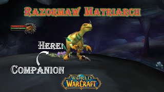 World of Warcraft  Razormaw Matriarch  Rare [upl. by Wimsatt]